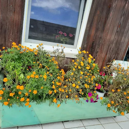 Appartement Neu! Unterfranken